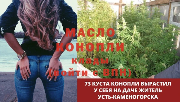 сатива Алзамай